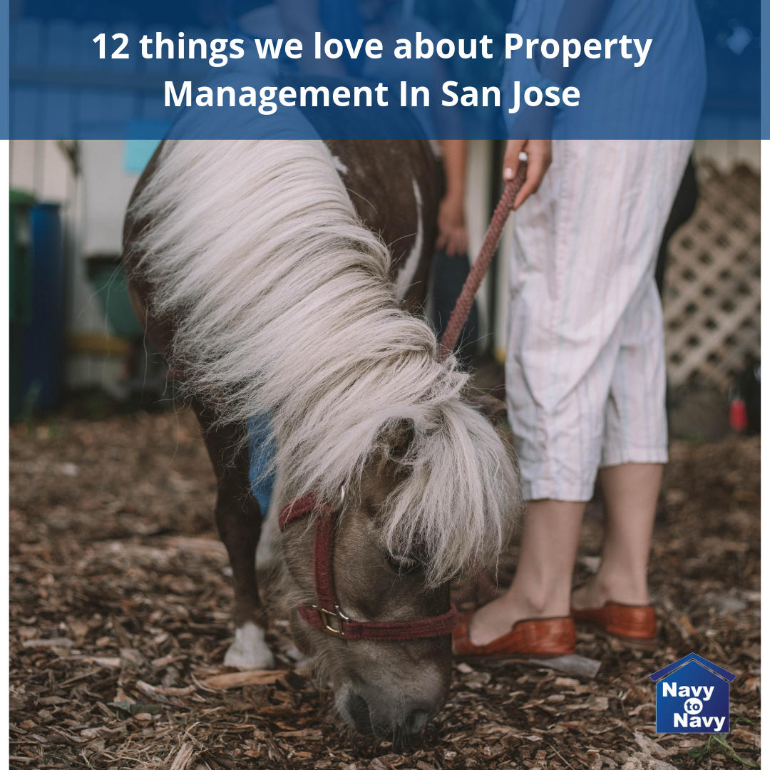 Property Management Blog